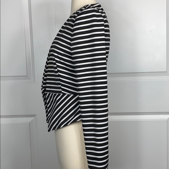 Aryn K stripped Tuxedo Blazer - Picture 5 of 11